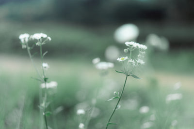 コンセプト作成